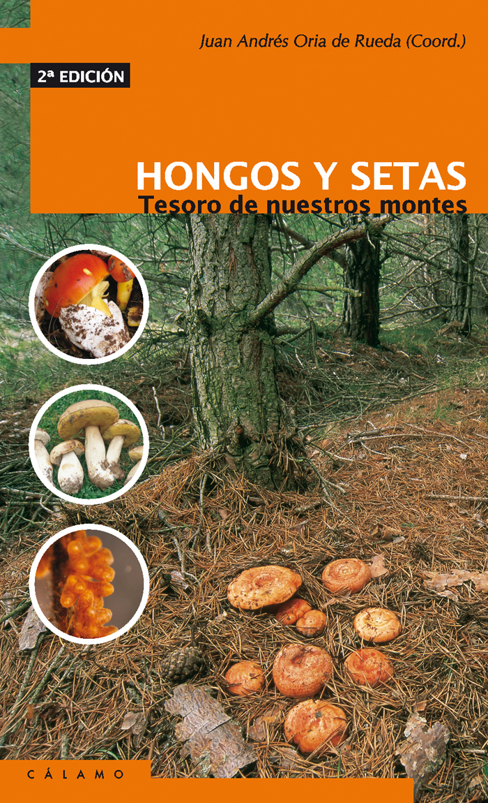 Portada – Hongos y setas